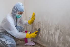 Best Asbestos and Lead Testing During Mold Inspection  in Kellogg, ID